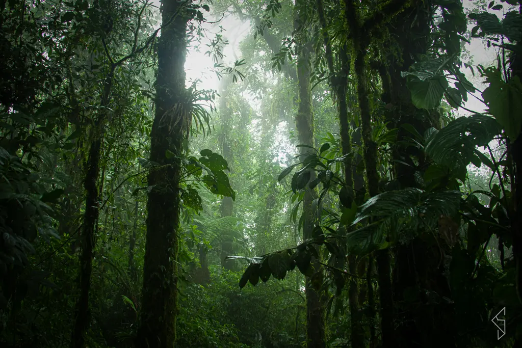 Costa_rica_10