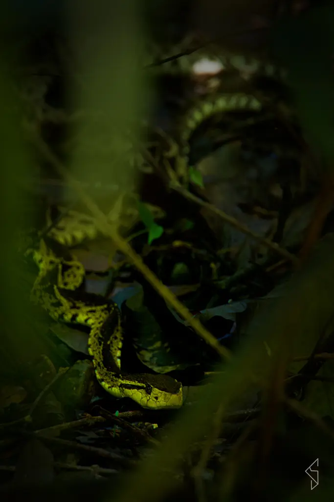 Costa_rica_15