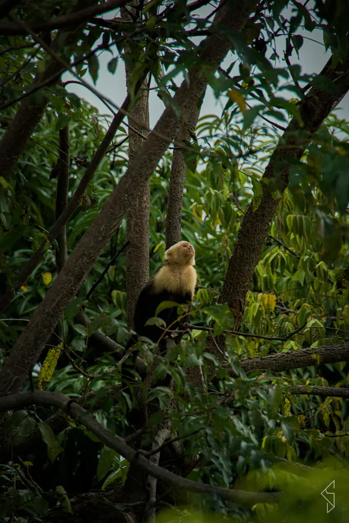 Costa_rica_16