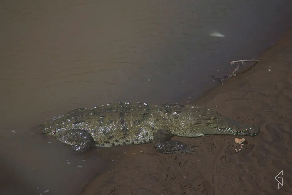 Costa_rica_18