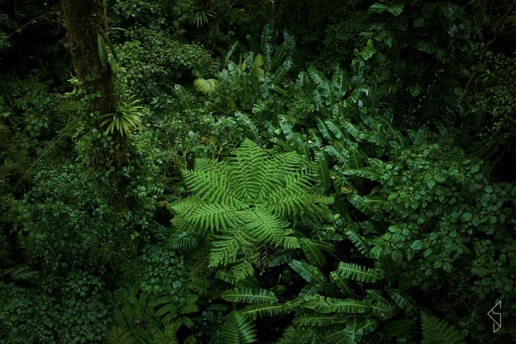 Costa_rica_20