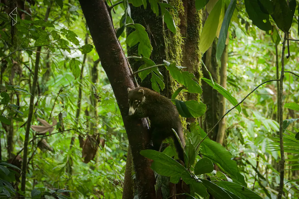 Costa_rica_25