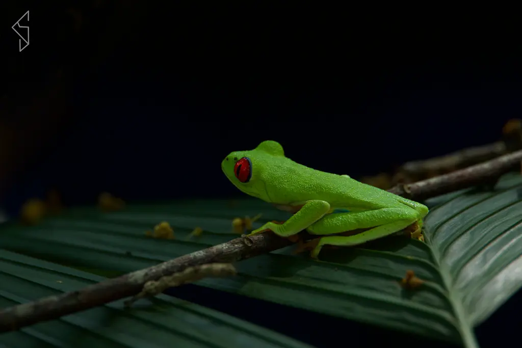 Costa_rica_3