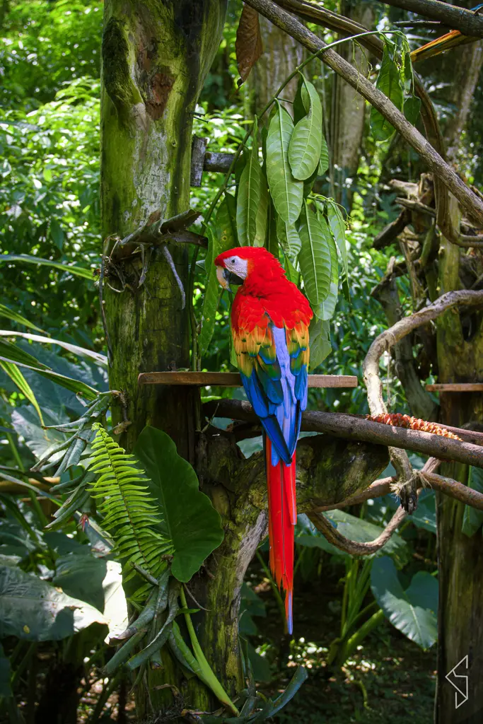 Costa_rica_4