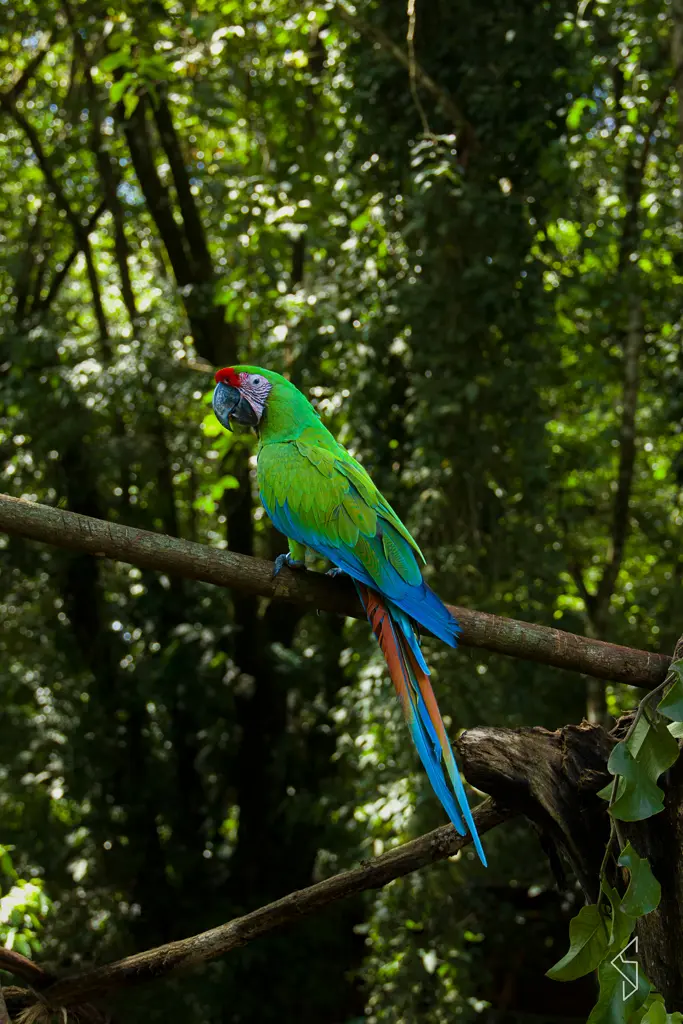 Costa_rica_5