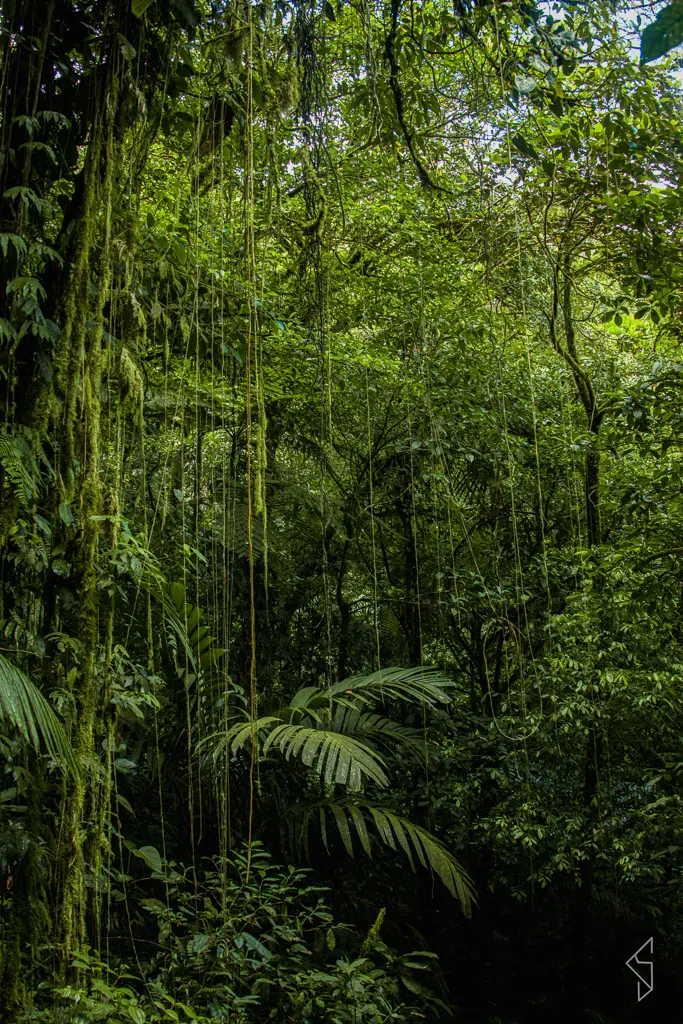 Costa_rica_7