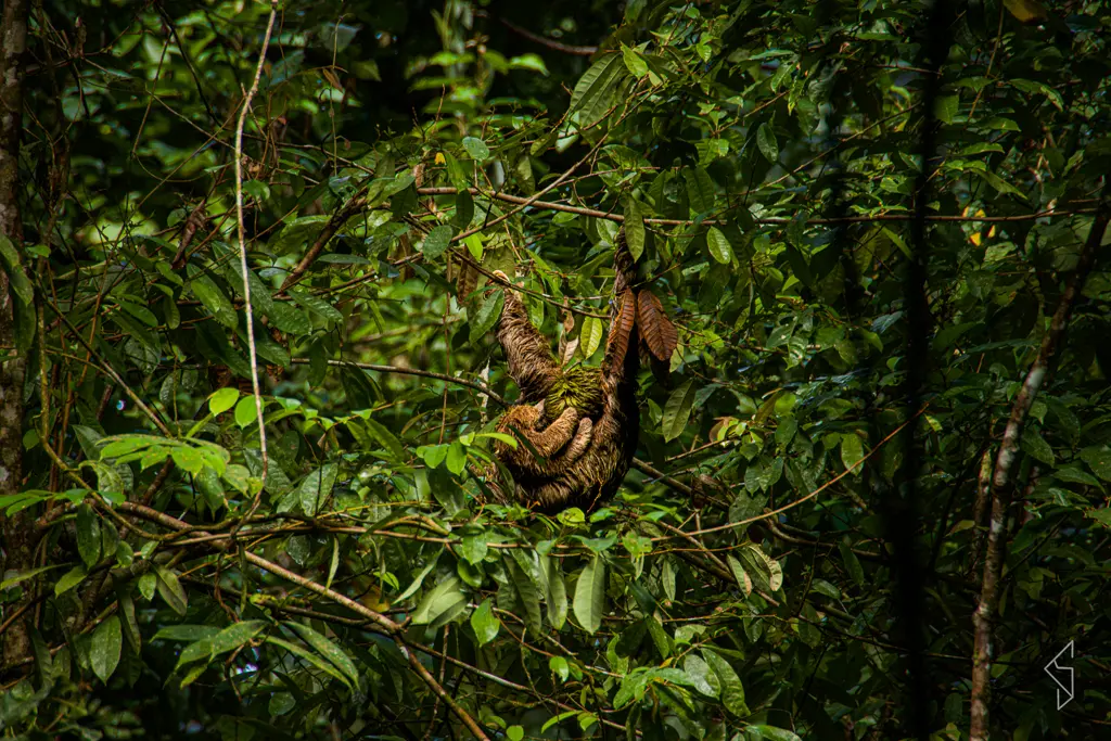 Costa_rica_8