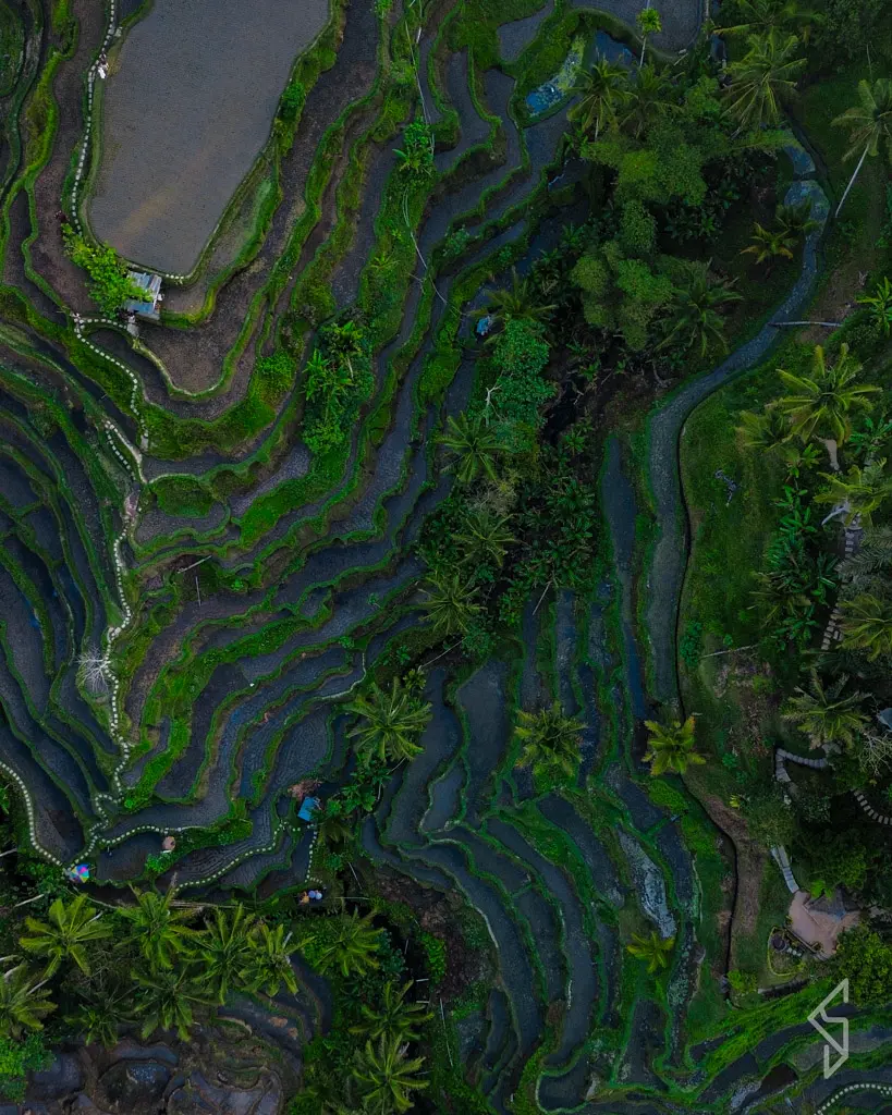 bali-14