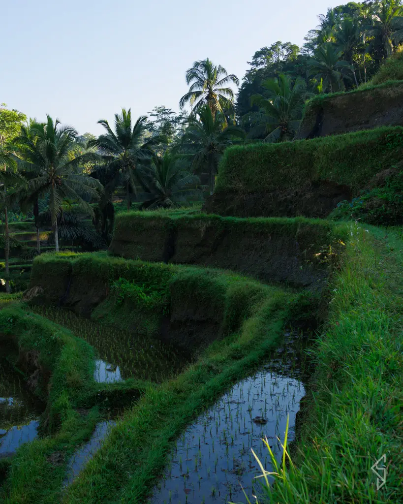 bali-19